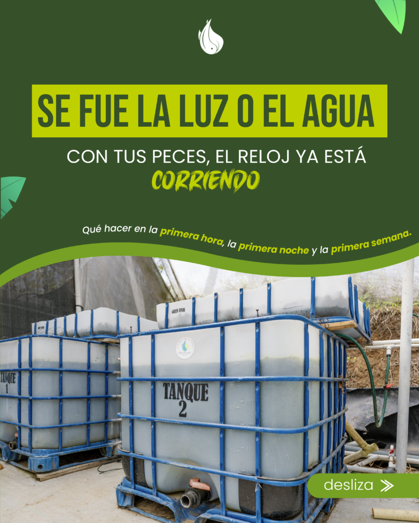 Portada del carrusel de Green Fish: qué hacer si se va la luz o el agua en un sistema acuapónico, con tanques de peces de fondo