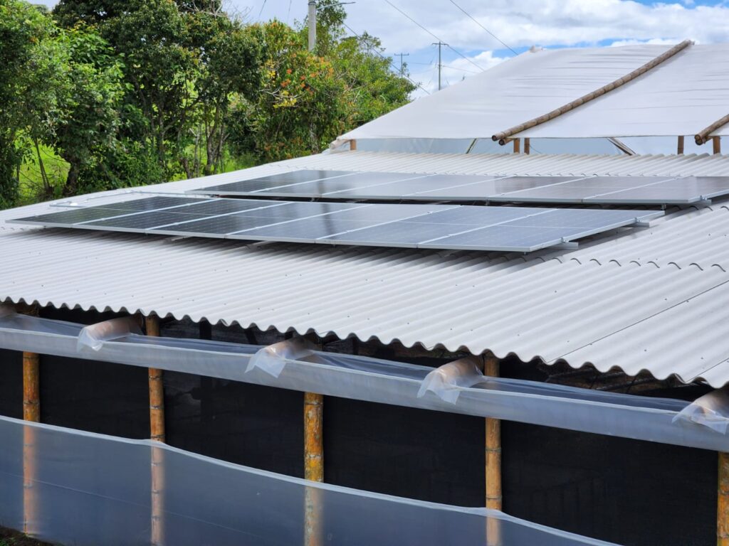 Paneles solares fotovoltaicos sobre el techo de un sistema acuapónico comunitario en el Cauca