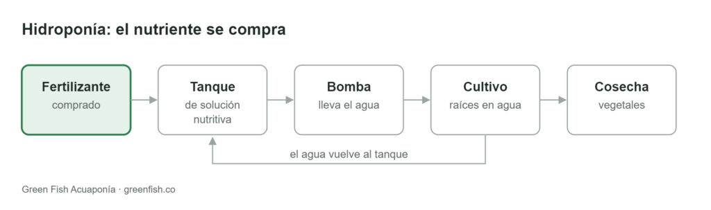 Diagrama para comparar acuaponía e hidroponía: en hidroponía el fertilizante comprado se disuelve en el tanque de solución, la bomba lleva el agua al cultivo y el agua vuelve al tanque