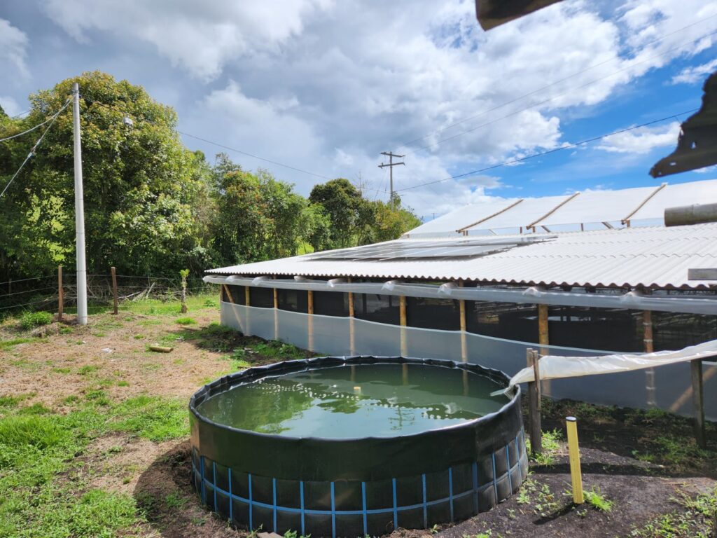 Tanque circular de cultivo de peces junto a un sistema acuapónico con paneles solares en el techo, Cauca